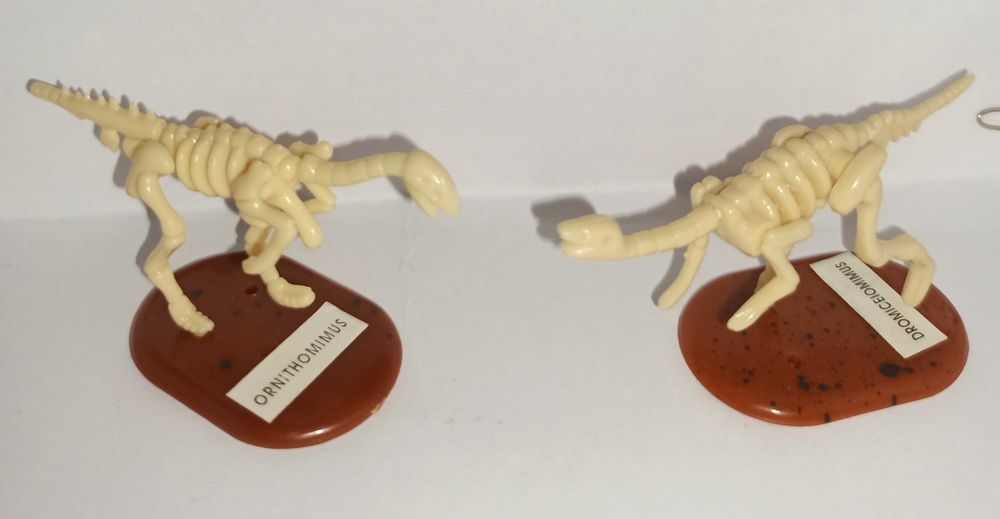 Скелеты динозавров, ископаемые, Киндер