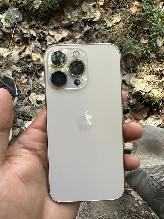 Iphone 13 pro ideal