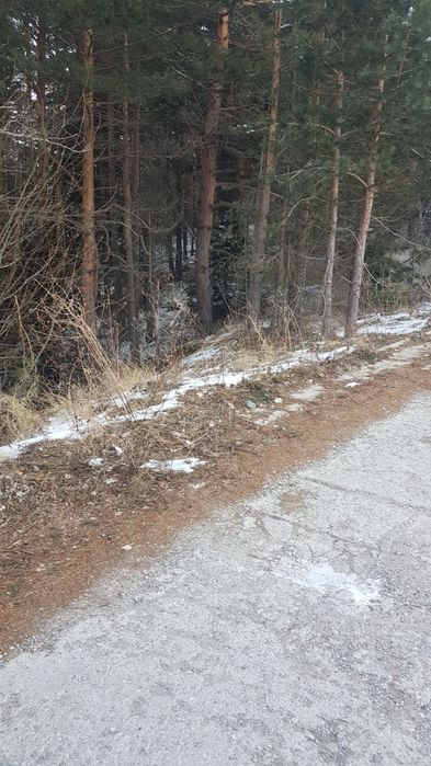 Продава парцел в курорта Паничище