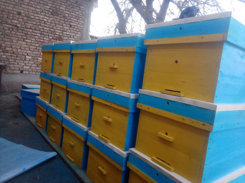 асалари.яшиклари