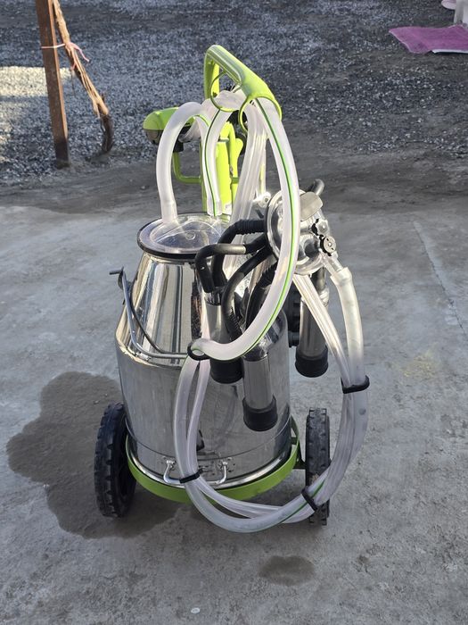 Chorva mollari uchun sut soĝadigan aparat