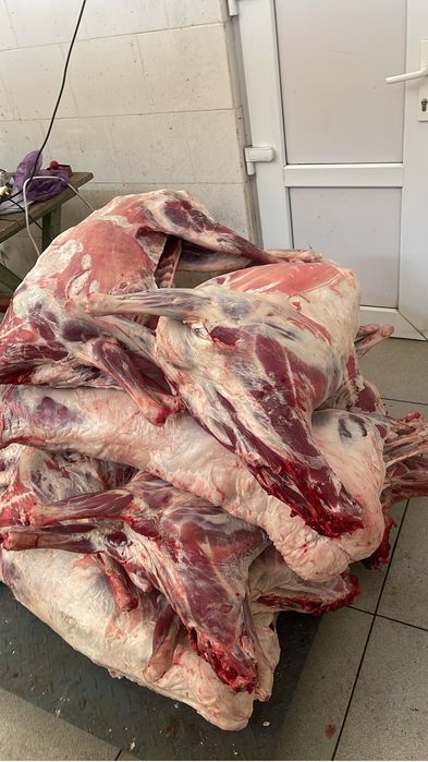 Баранина тушками в наличии