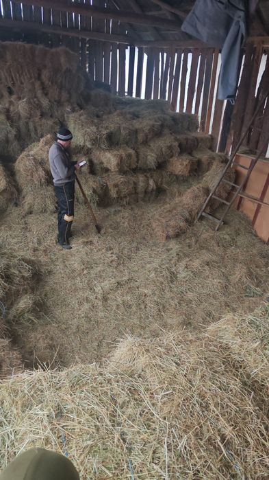 Baloti fan dreptunghiulari coasa 2025neplouati ofer transport