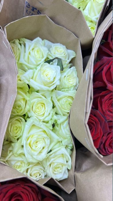 Розы , белые , красные , розовые