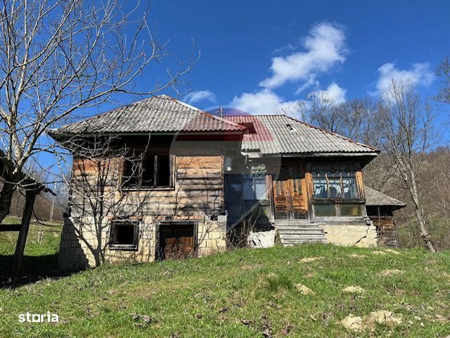Teren 7,495mp Barsana / Valea Muntelui