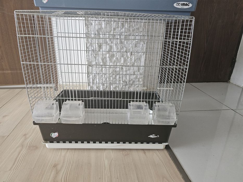 Colivie Papagali (mici)