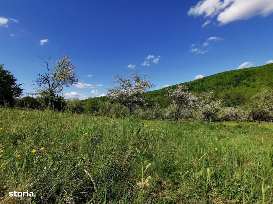Teren de Vânzare, Budeasa Mica – Potrivit pentru Casă de Vacanță sau I