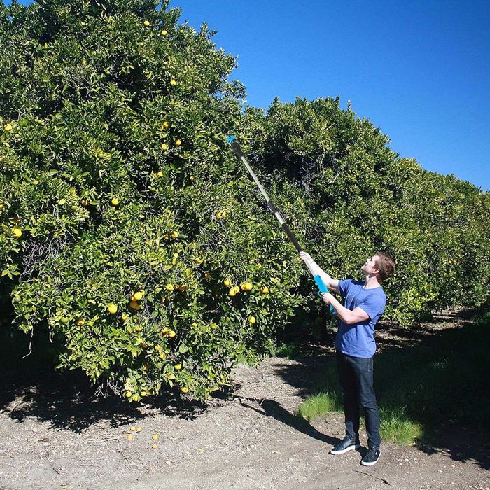 Tija extensibila cu geanta pentru foarfeca de gradina SWANSOFT 8605