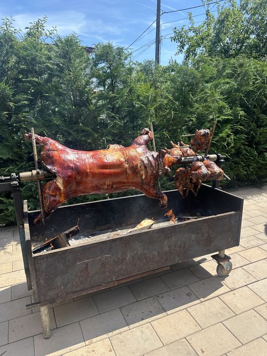 Porc , vitel si oaie facute la protap