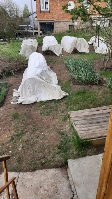 Продам дачу на Кожухово