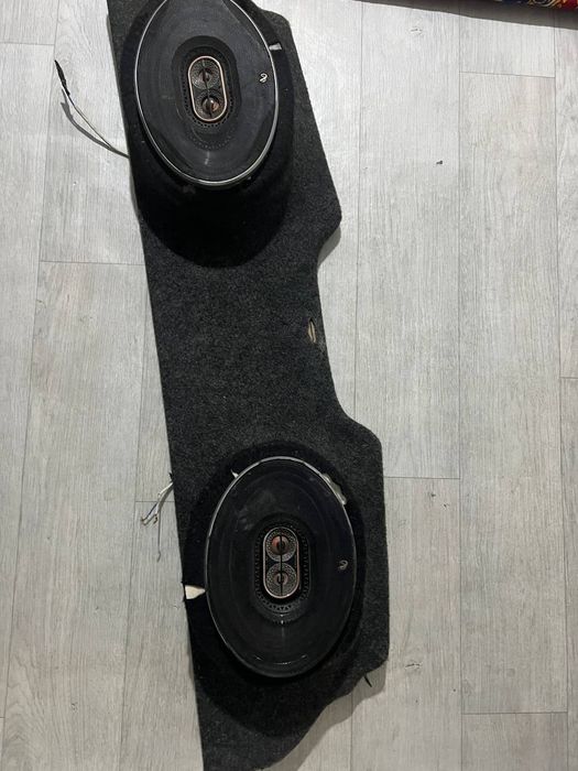 Infntiy kalonka arginal