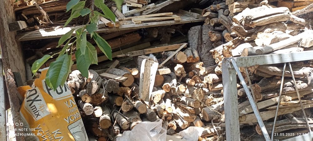 Утин бор урик ,гилос ,ёнгок, узум олча дарахтларидан. Срочно.