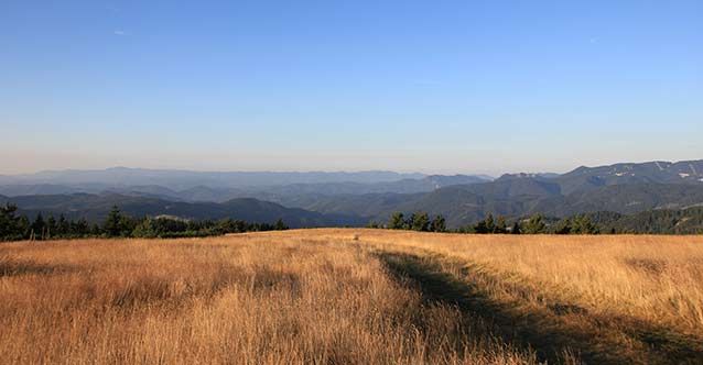 Продава се Парцел в Пловдив, Беломорски - 440 кв.м за 46 €/кв.м - Снимка #6