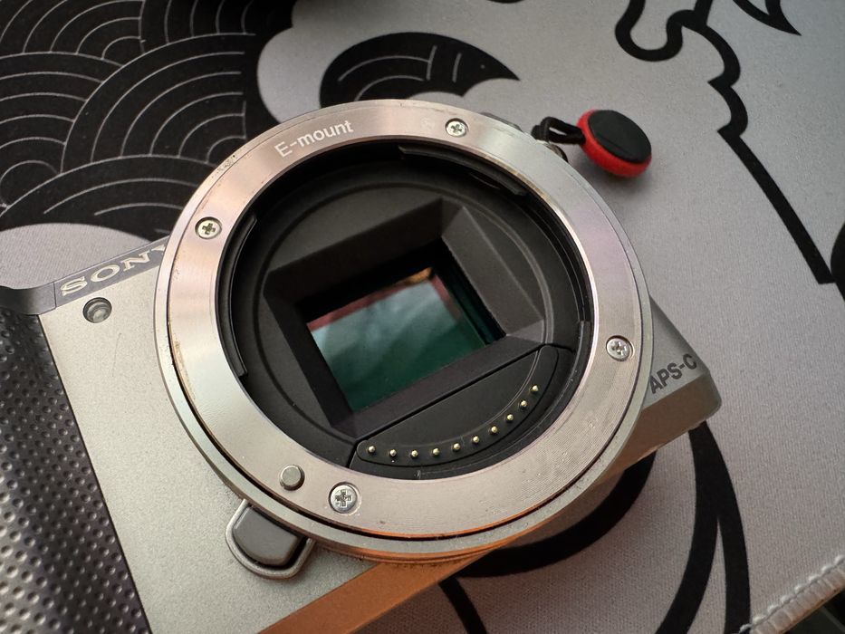 Sony a5000 APS-C mirror less + 55-210mm f4.5-6.3 OSS