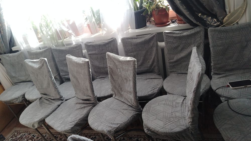 Аренда стол и стулия