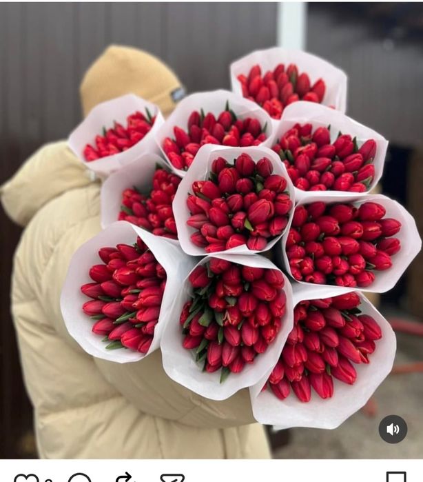 Тюльпаны оптом розницу цветы букет букеты цветов розы тюльпан в Астане