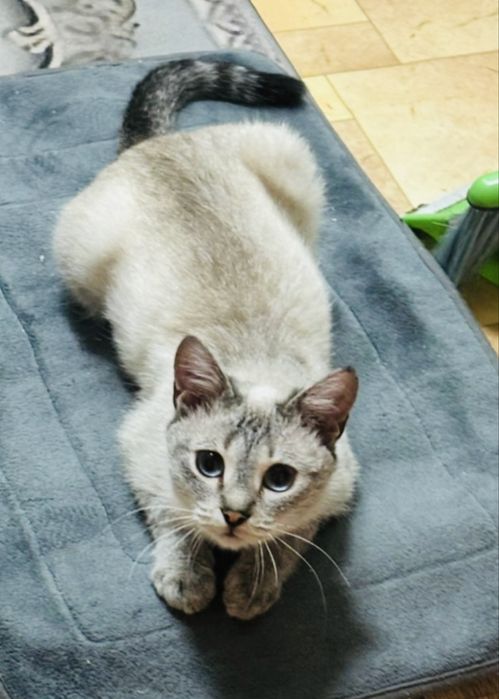 Глаша мечтает стать любимым членом семьи !