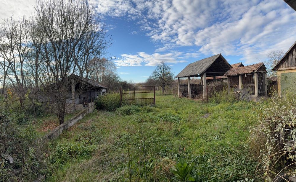 Casa de vanzare INEU DE CRIS