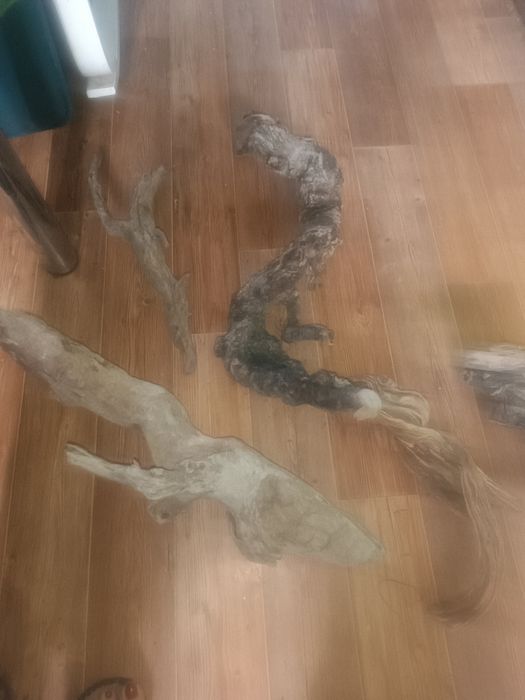 Продам коряги с реки