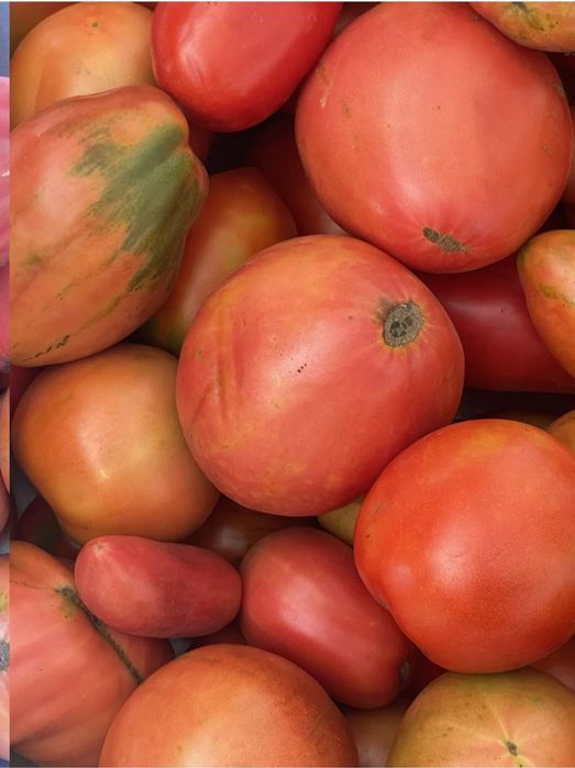 Продам домашние помидоры