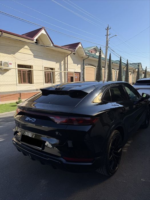 BYD SONG L 4 pazitsa full