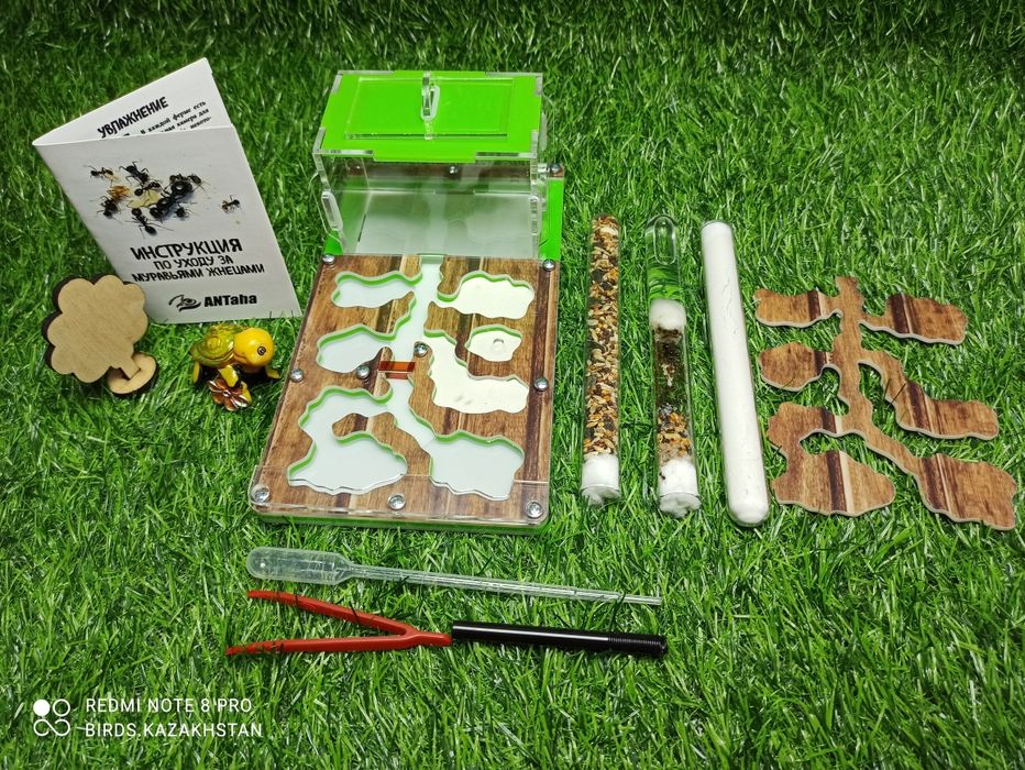 Муравьиная ферма + Муравьи Жнецы