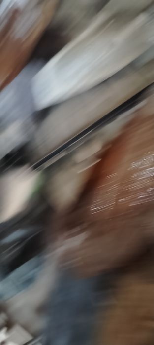 Мустакам колиблар сотилади