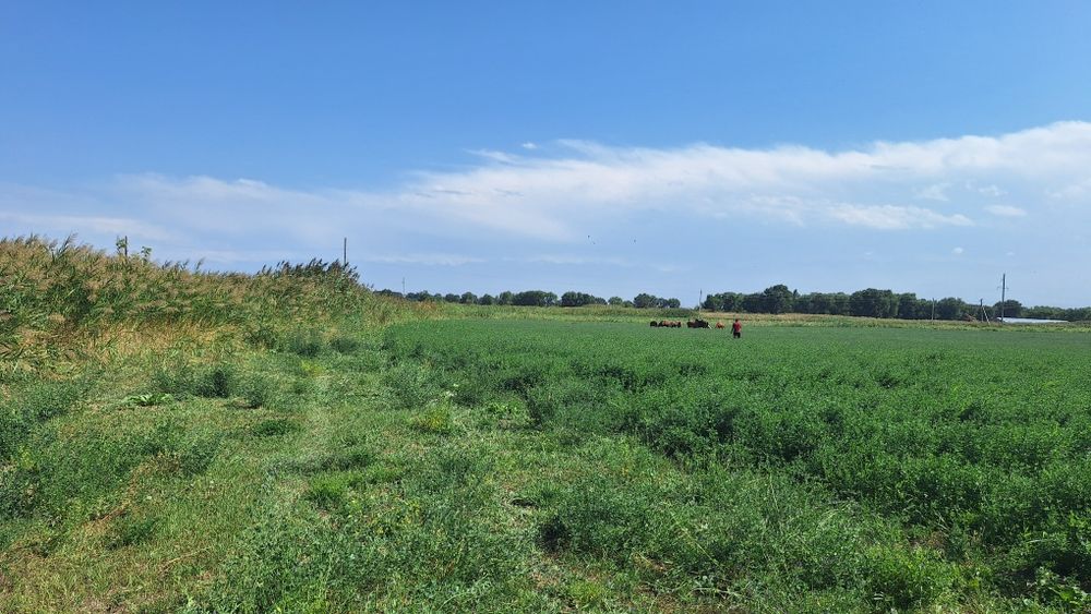 Продам земельный участок