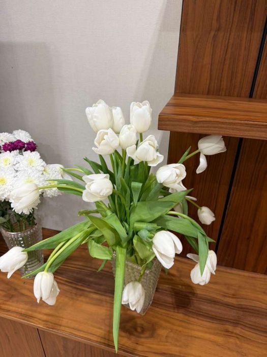 Свежие 19 огромных тюльпана