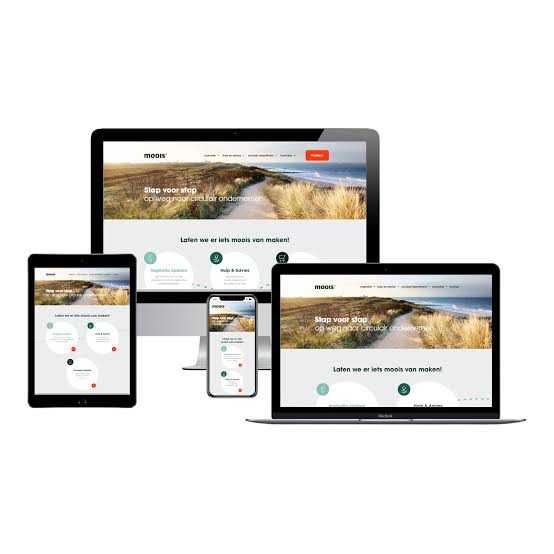 Creare Site Web Profesional – Rapid, Modern și Responsive