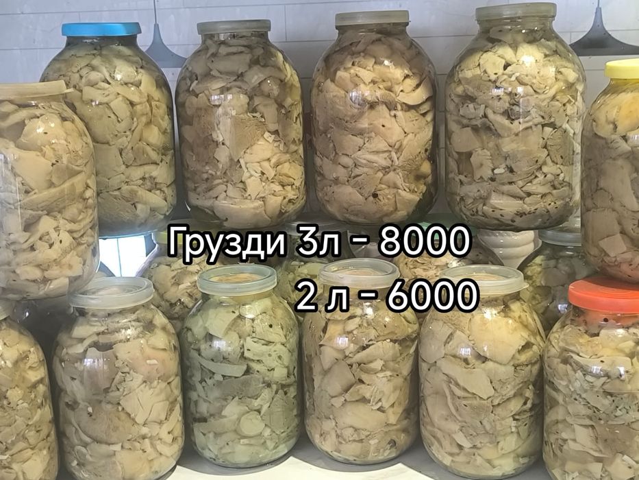 Продам грибы грузди