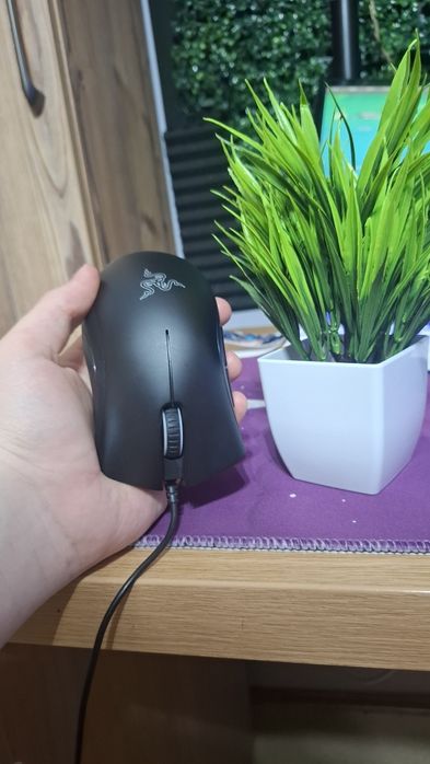 Razer Deathadder Essential