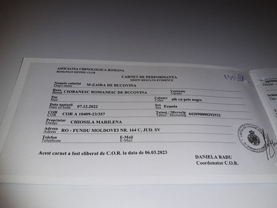 Ciobănești de Bucovina