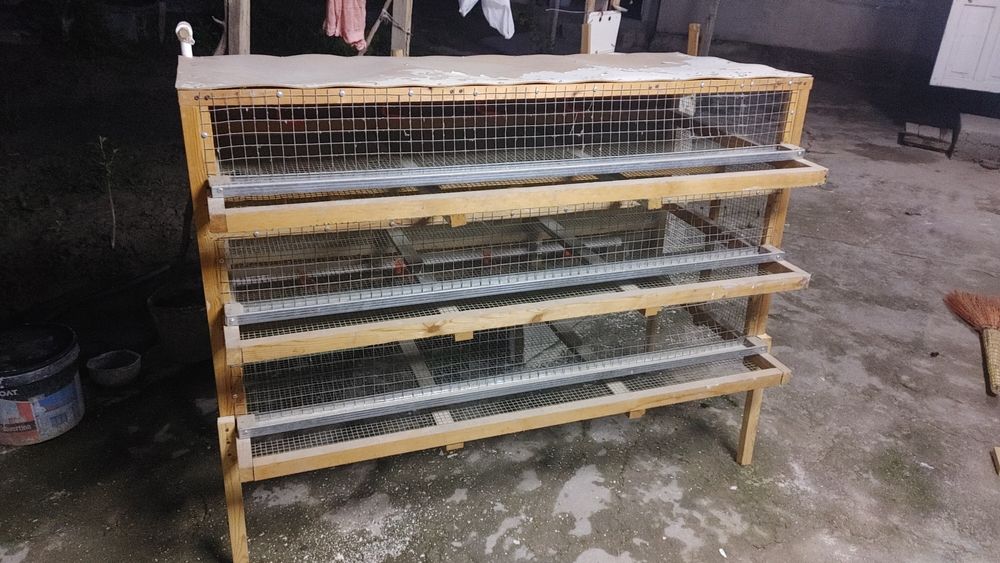 Bedana kataklar sotiladi