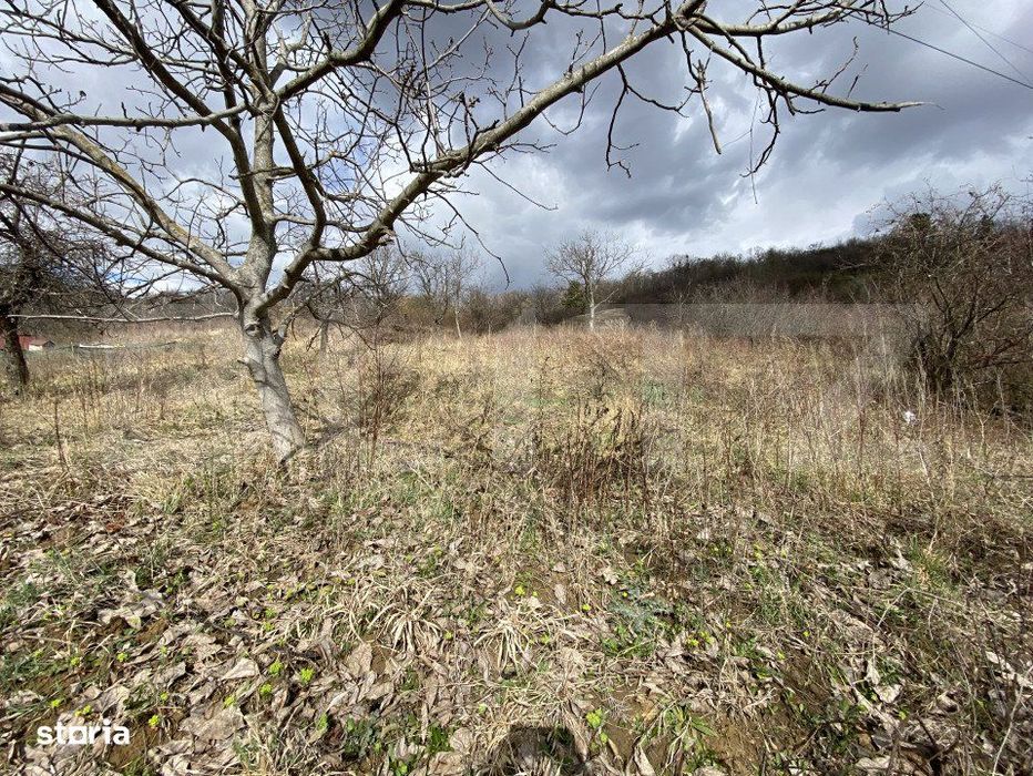 Teren intravilan in suprafata  de 2000 mp, zona Episcopiei