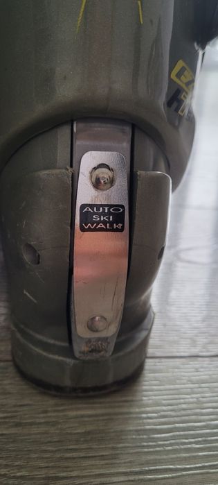 Clapari barbati Head