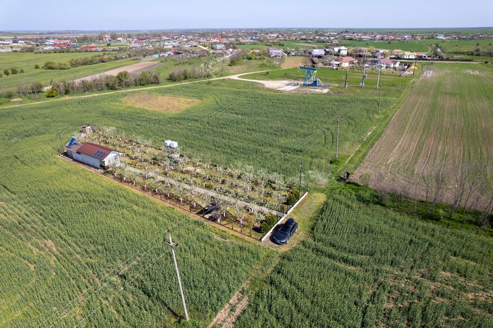 Teren si Casa de vacanță / Livada de pruni / Tufeni - OLT
