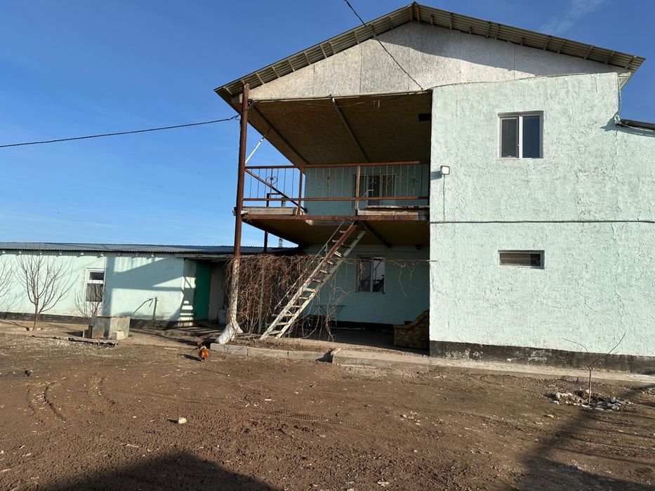 Фазенда в жамбыльской области