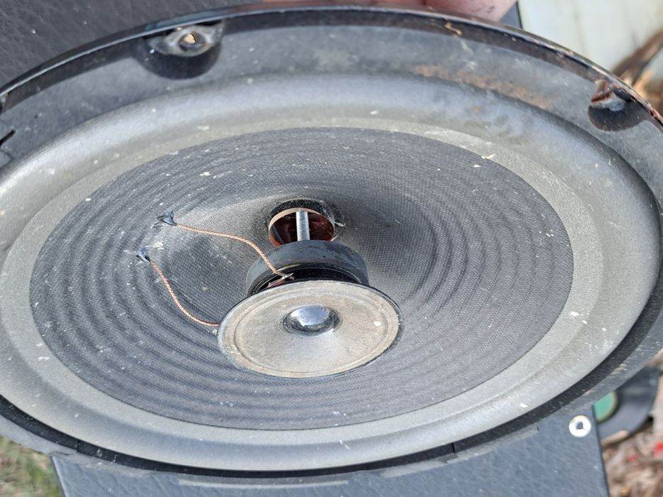 Difuzoare 10 inch  akai X10