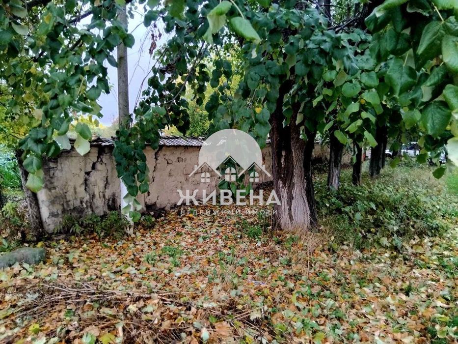 Продава къща с голям двор 2500 кв.м, с.Царевци