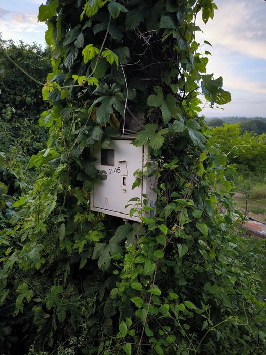 Продава се Парцел в Варна, м-т Боровец - север - 1138 кв.м за 56 €/кв.м - Снимка #1