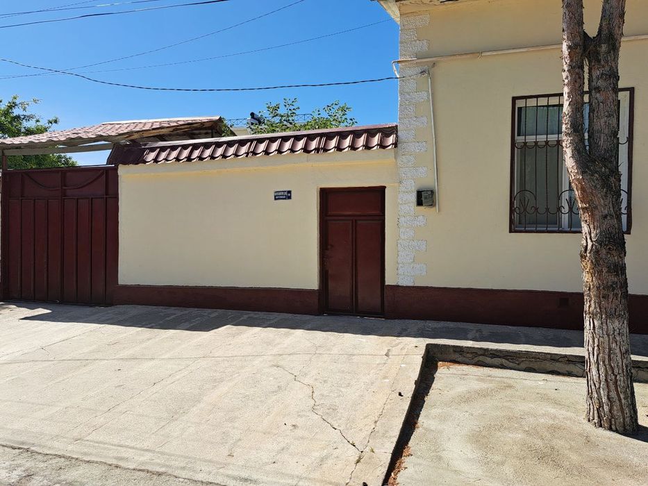 Srochna Kotej sotiladi