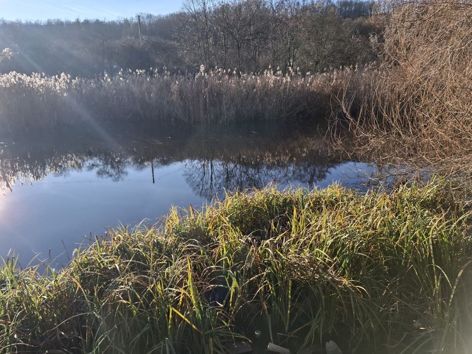 Vând Teren Intravilan Racaciuni Bacau