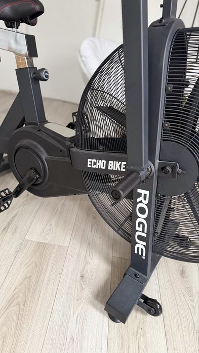 Rogue Echo Bike V2.0 - Bicicleta Crossfit Assault