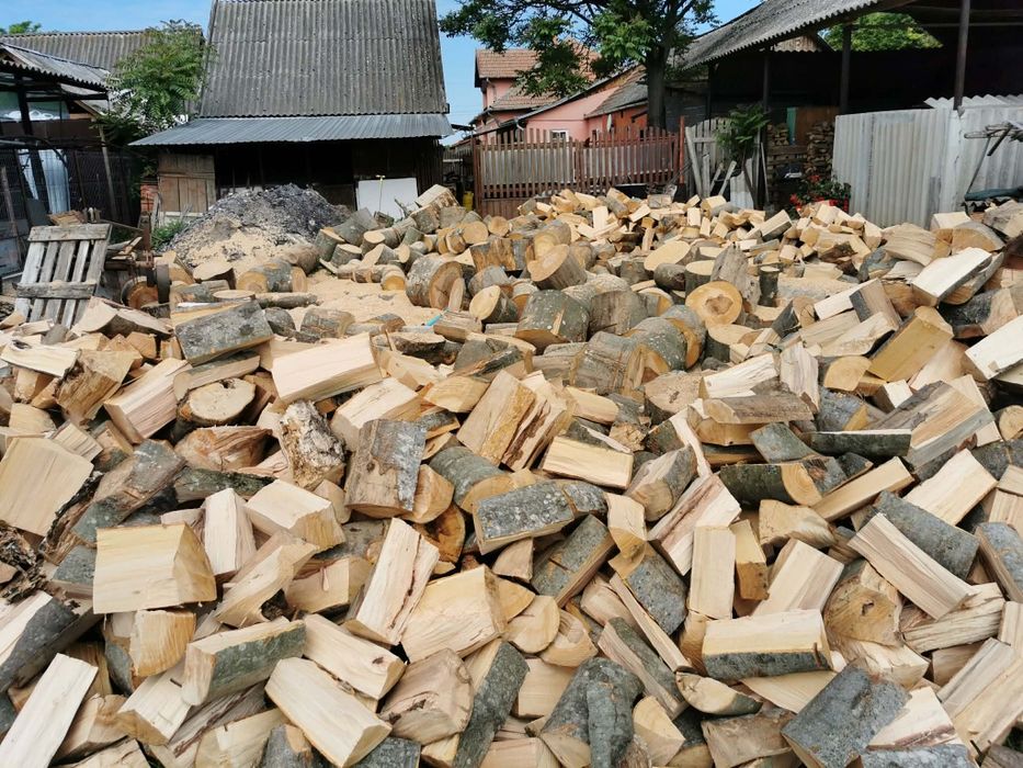 Servicii rapide de încredere