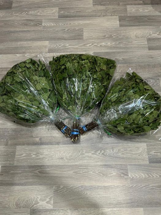 Веники для бани берёза