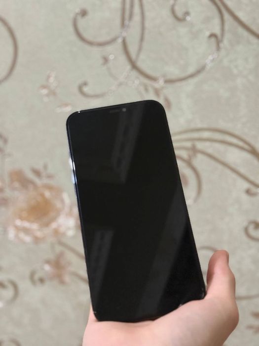 iPhone 12 Pro Max kami bor