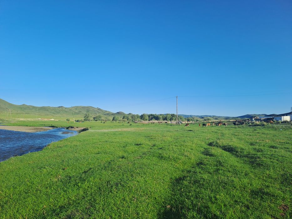 Шаруа қожалық сатылады