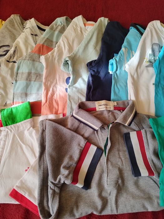 13 броя тениски и 3 блузки с къс ръкав