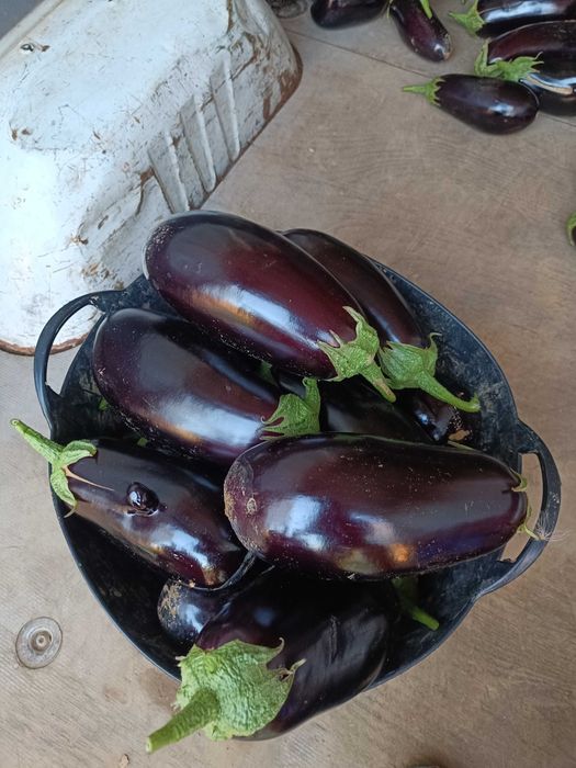 Vinete, lubenita, legume